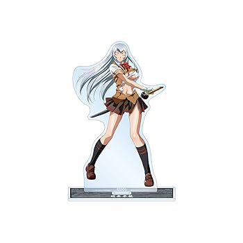 Amazon.co.jp: 真 一騎当千 趙雲子龍 BIGアクリルスタンド : ホビー